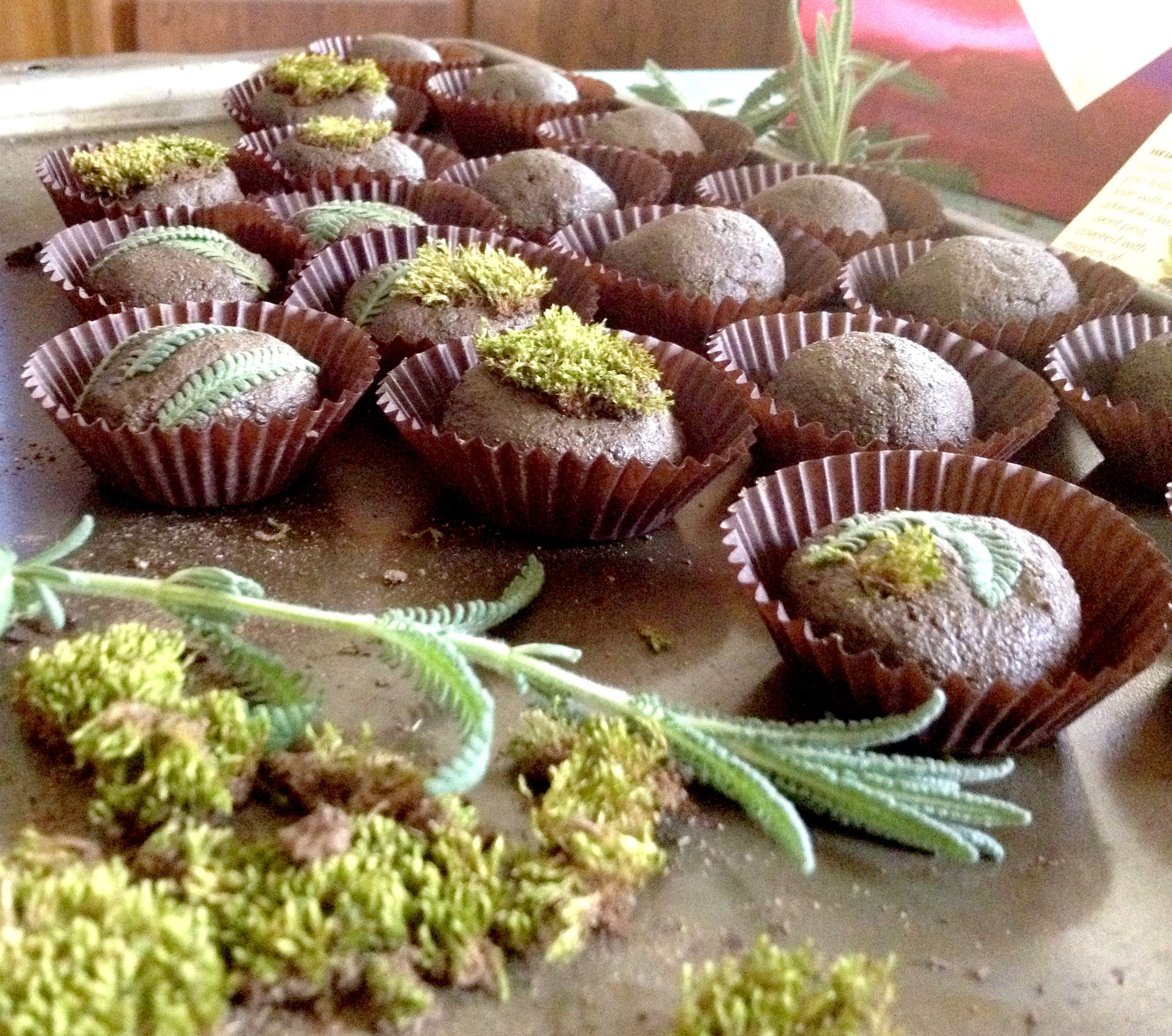 Seed Bon Bons
