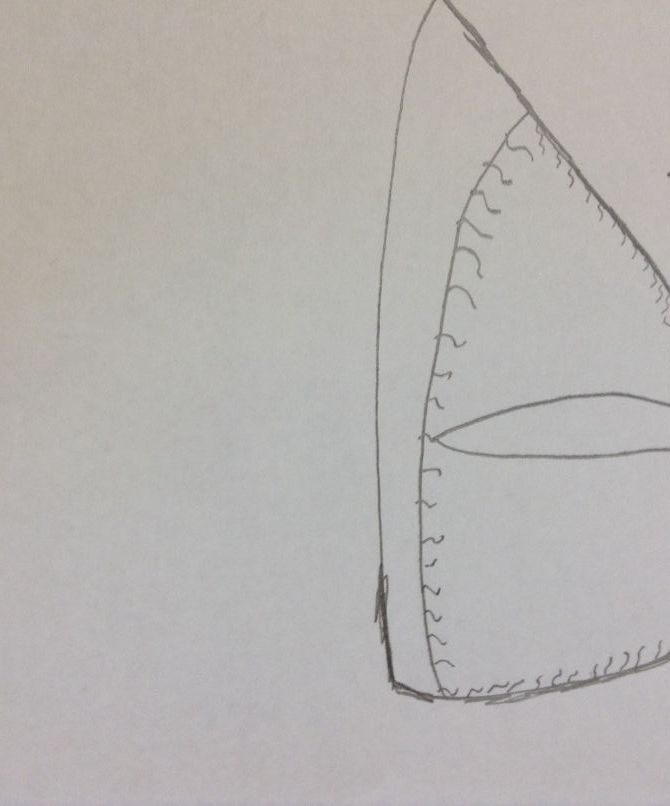 How to Draw a Cat Eye
