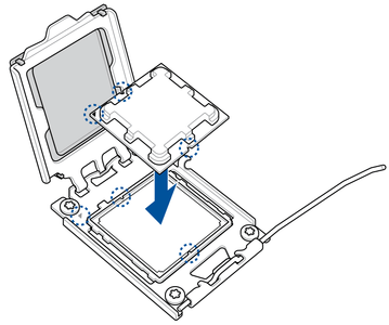 Put CPU in Motherboard Slot