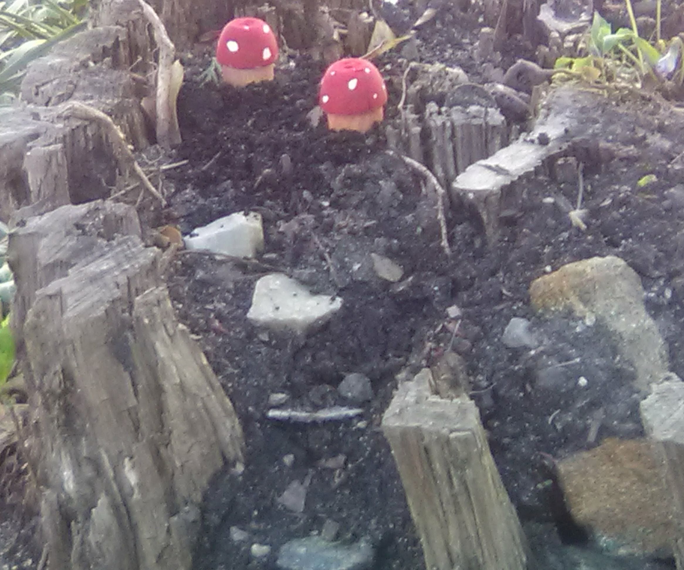 Wooden Fairy Garden Mushroom