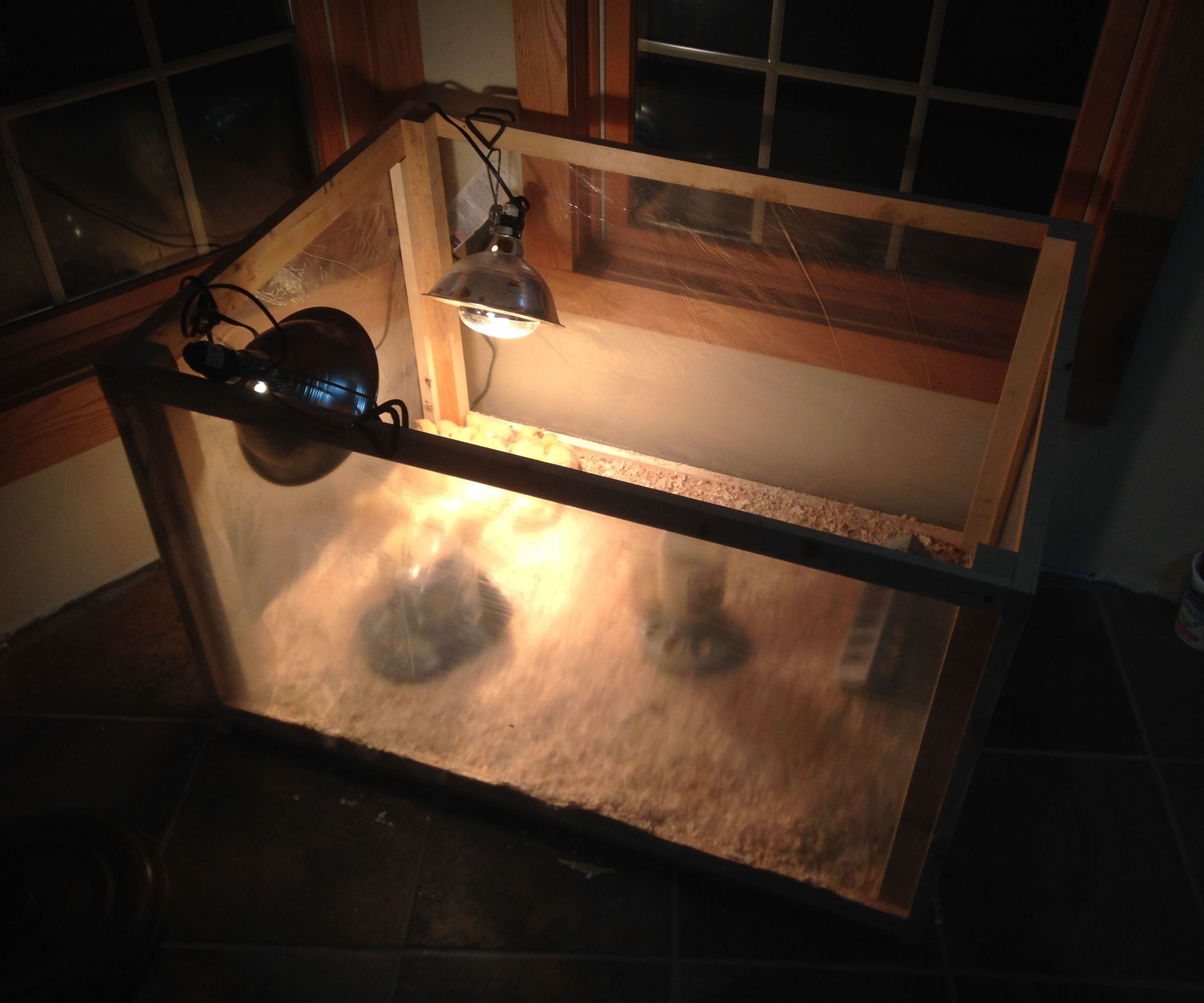 Easy and Cheap Chick Brooder