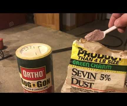 GET Rid of Yellow Jacket Nest for Pennies (SIMPLE TECHNIQUE)