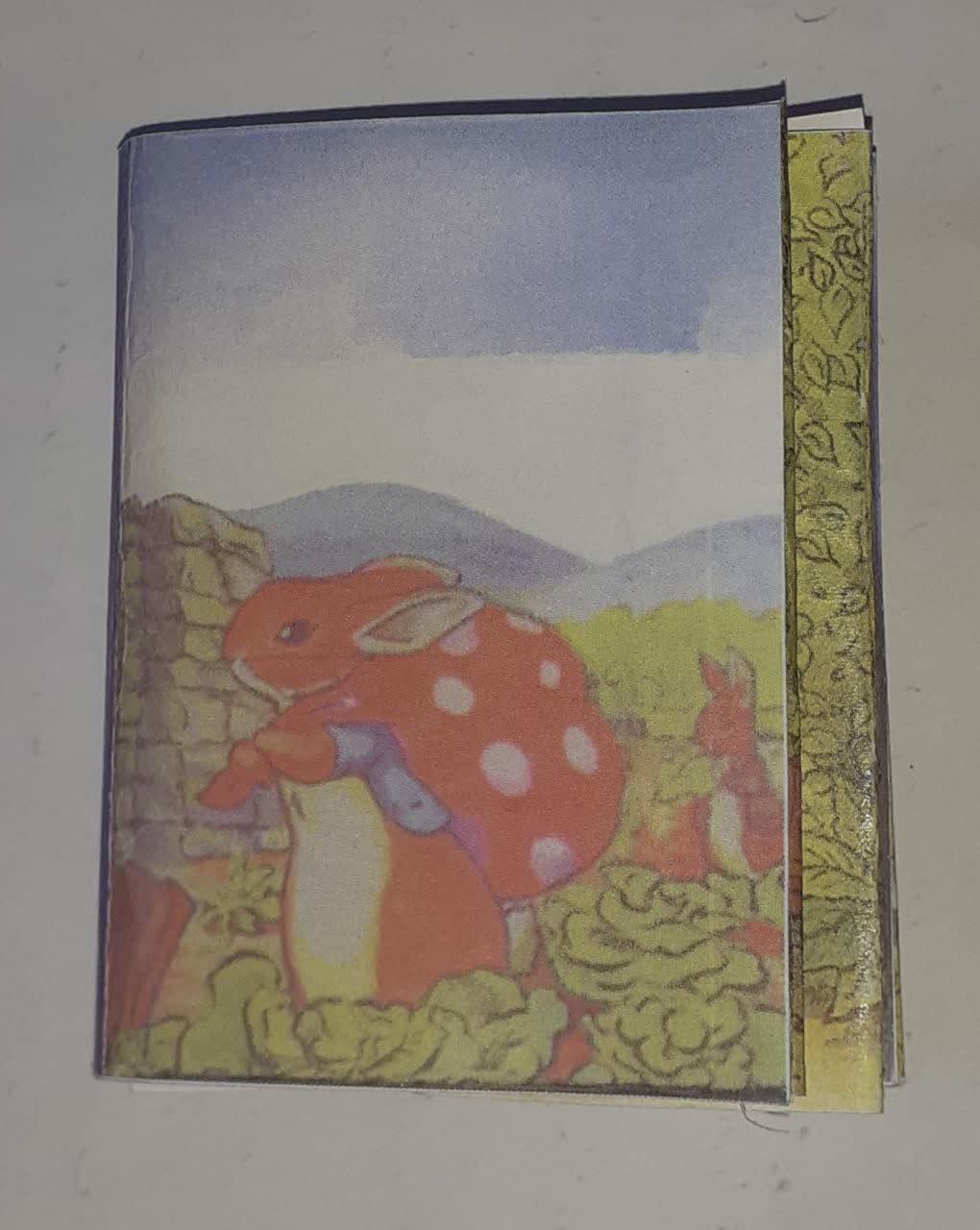  3D Pocket Picture Story Book 