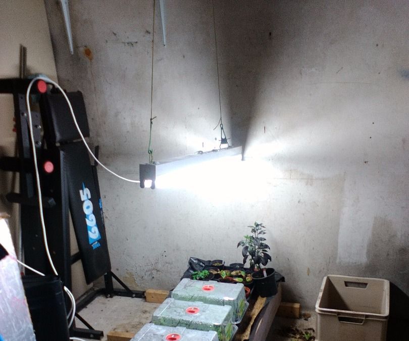 Upcycling/upgrading Old Fluorescent Lighting