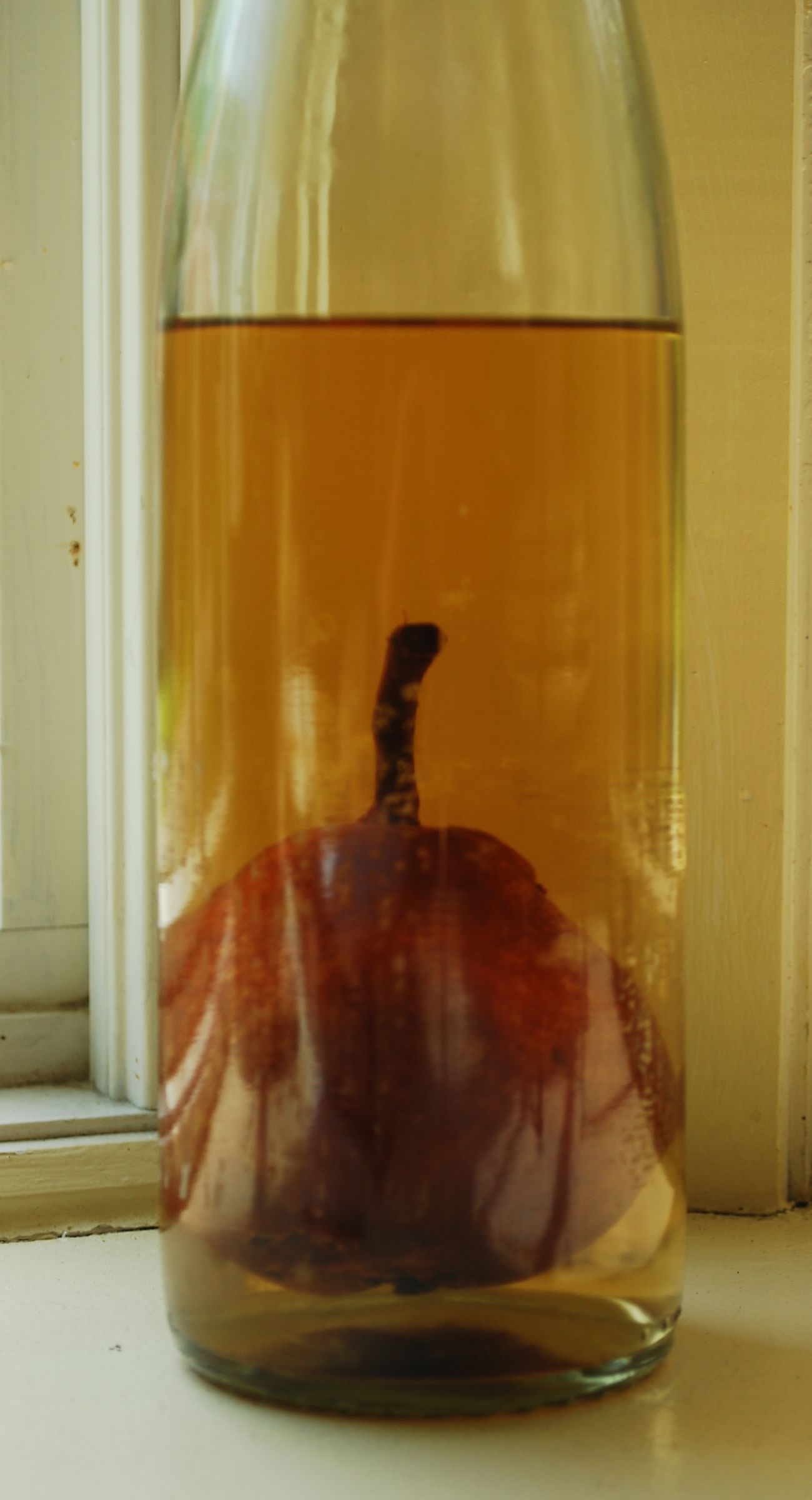 Grow a Pear in a Bottle