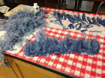 Dye Feathers and Cap