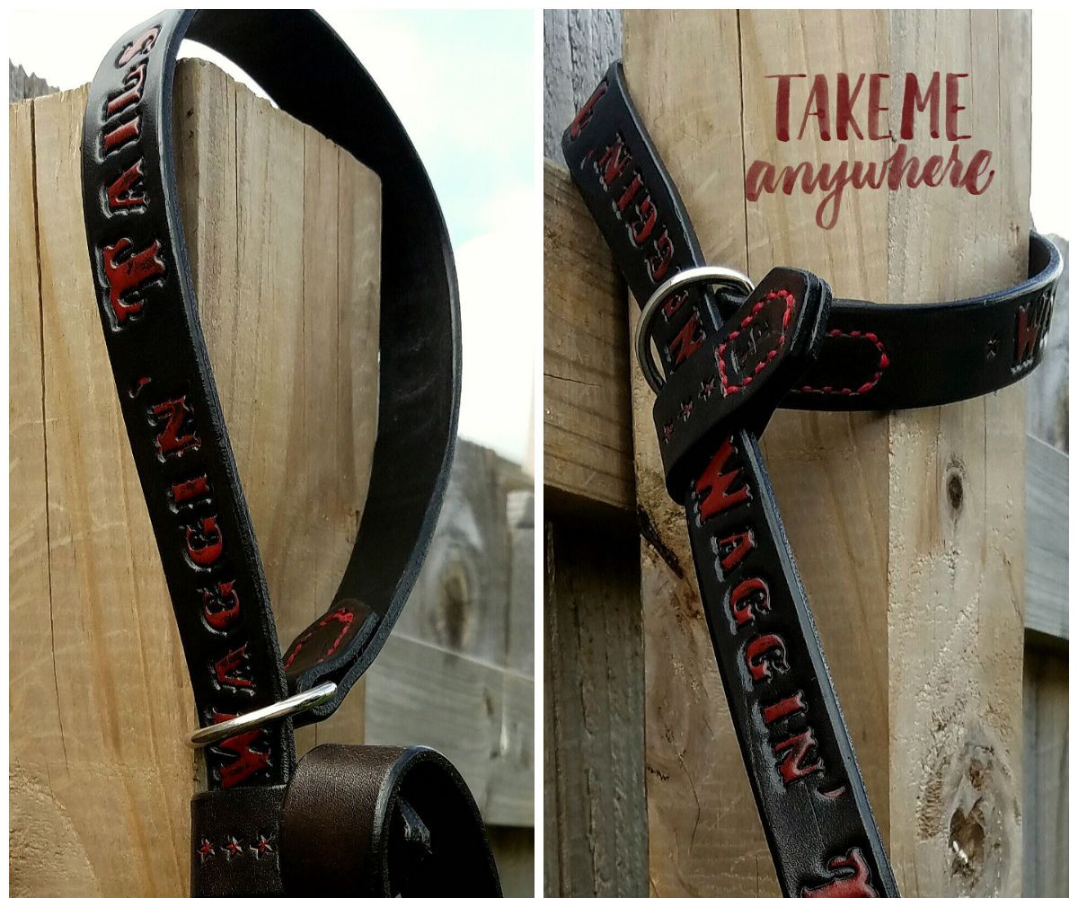 Leather Dog Leash - Compact Slip Lead Style