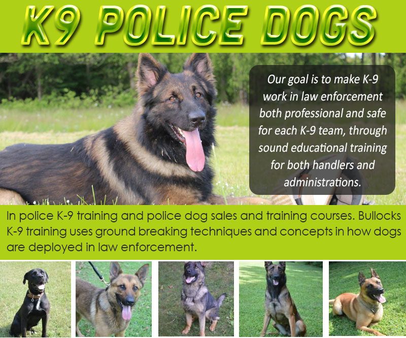  Police K9 for Sale