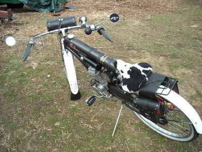 Motorized Bicycle 2