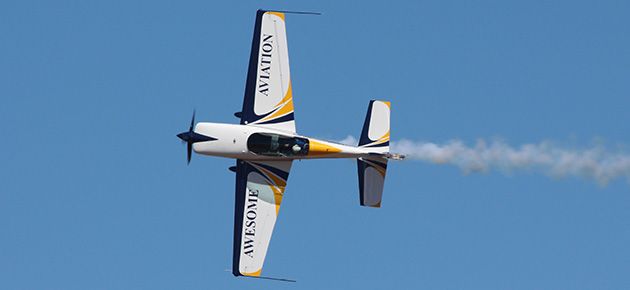 Aerogriffics