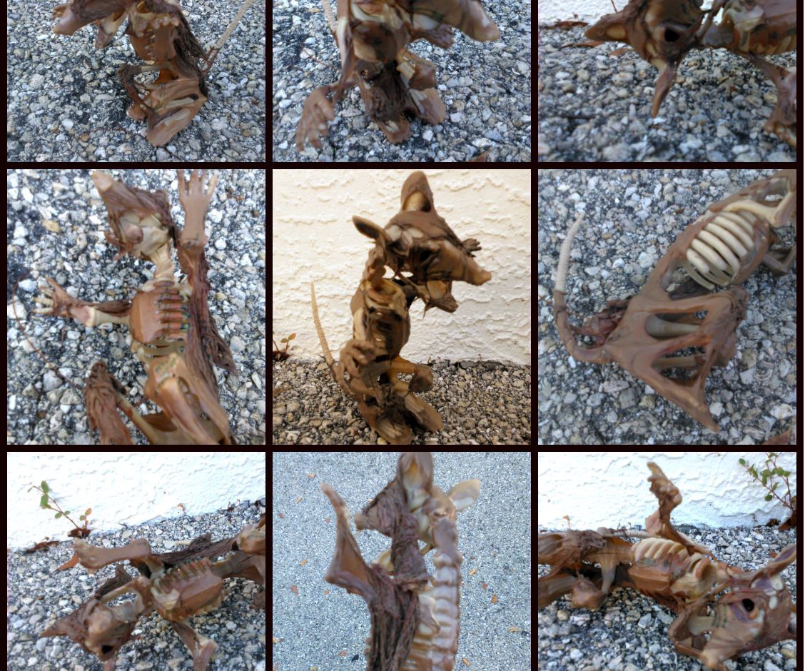 Easy Decomposed Skeleton Decor