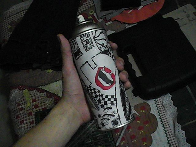 Spray Can Storage
