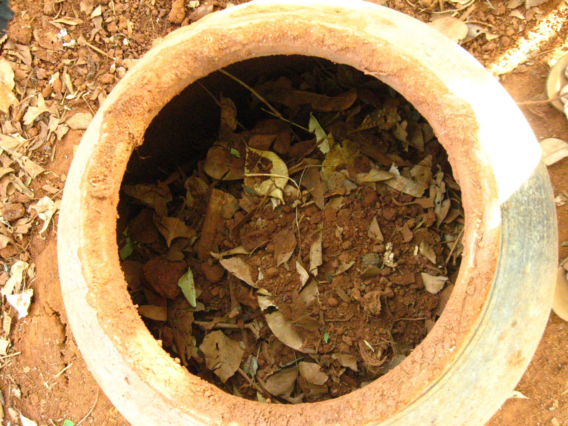 Growing Termites for Feeding Chicken 4 Steps (with Pictures