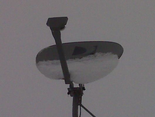 Snow and 550 cord