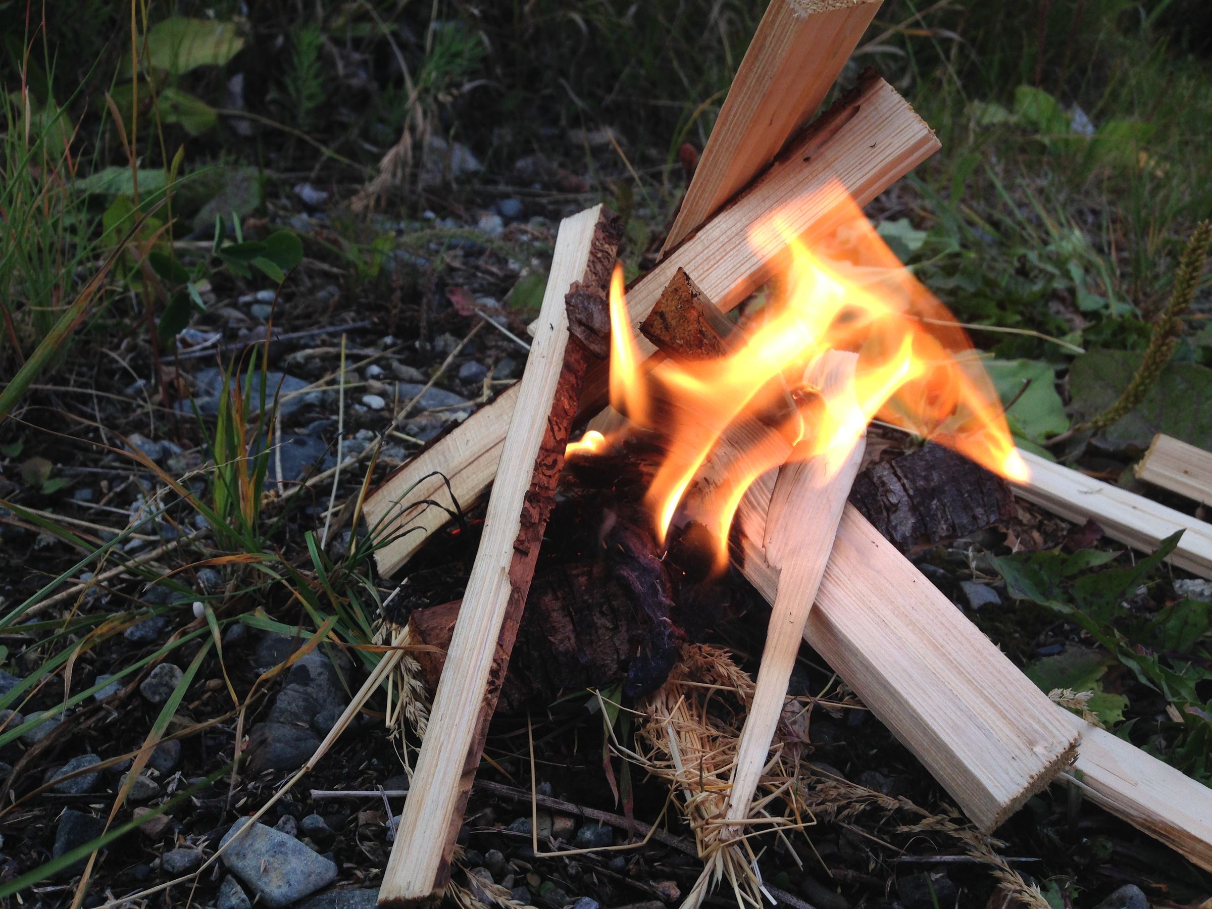 Dryer Lint Fire Starter 3 Steps (with Pictures) Instructables
