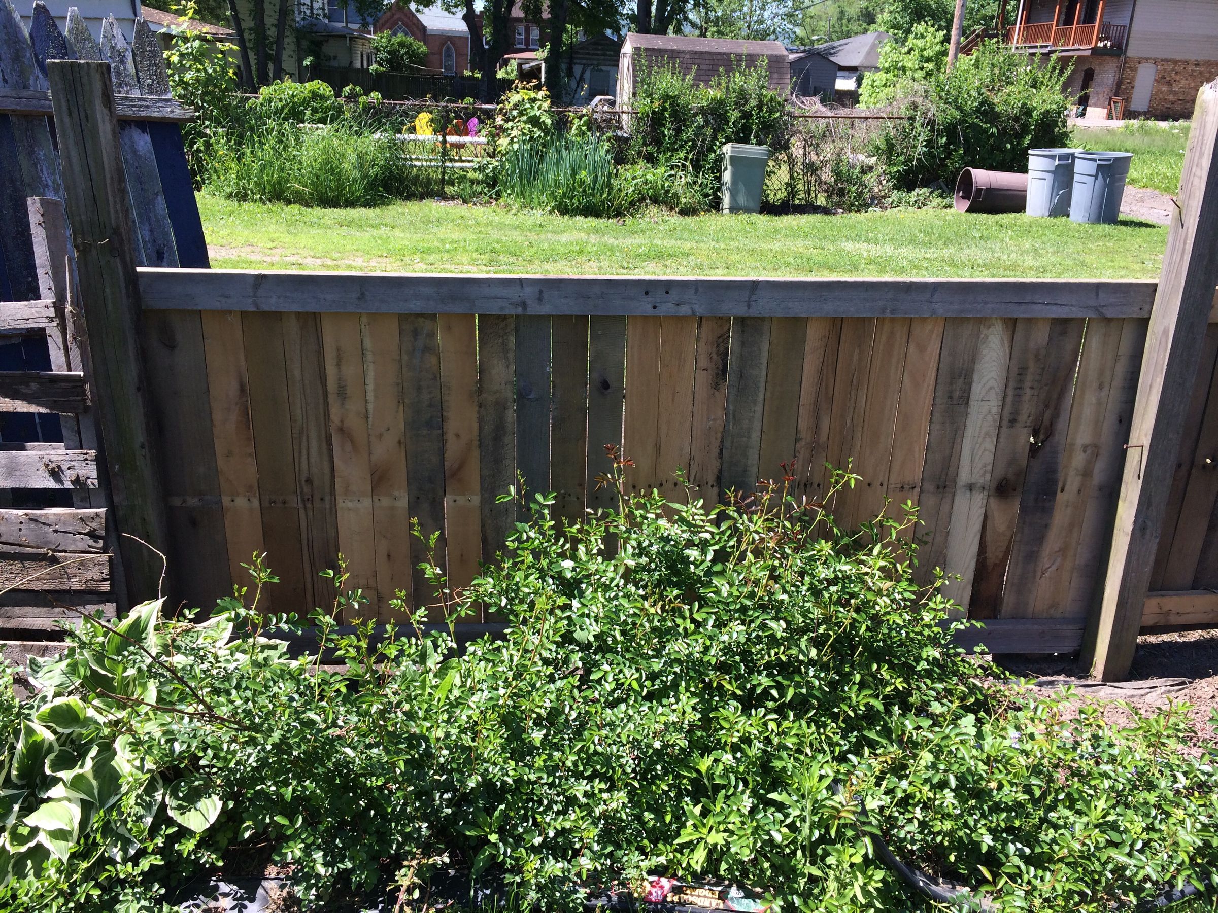 Pallet Fence