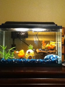 Tank
