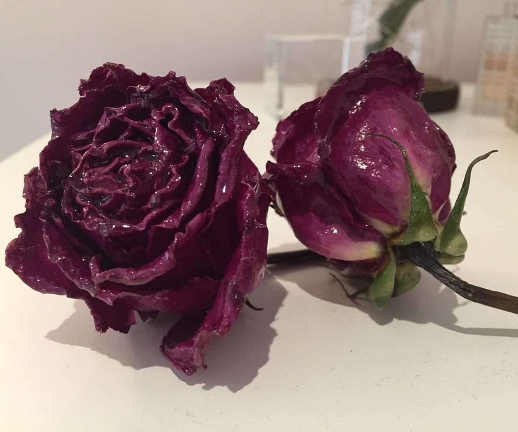 How to Make an Everlasting Glossy Rose 4 Steps (with Pictures