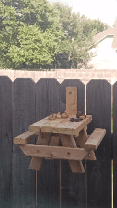 More Bench Visitors!