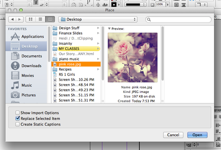 Step 5: Place Your Image Into Your InDesign Document. 