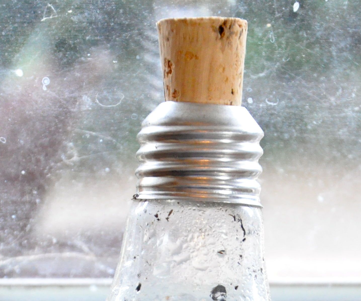 Light Bulb Terrarium