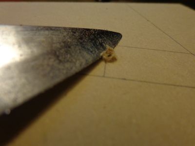 Preparing the Surface