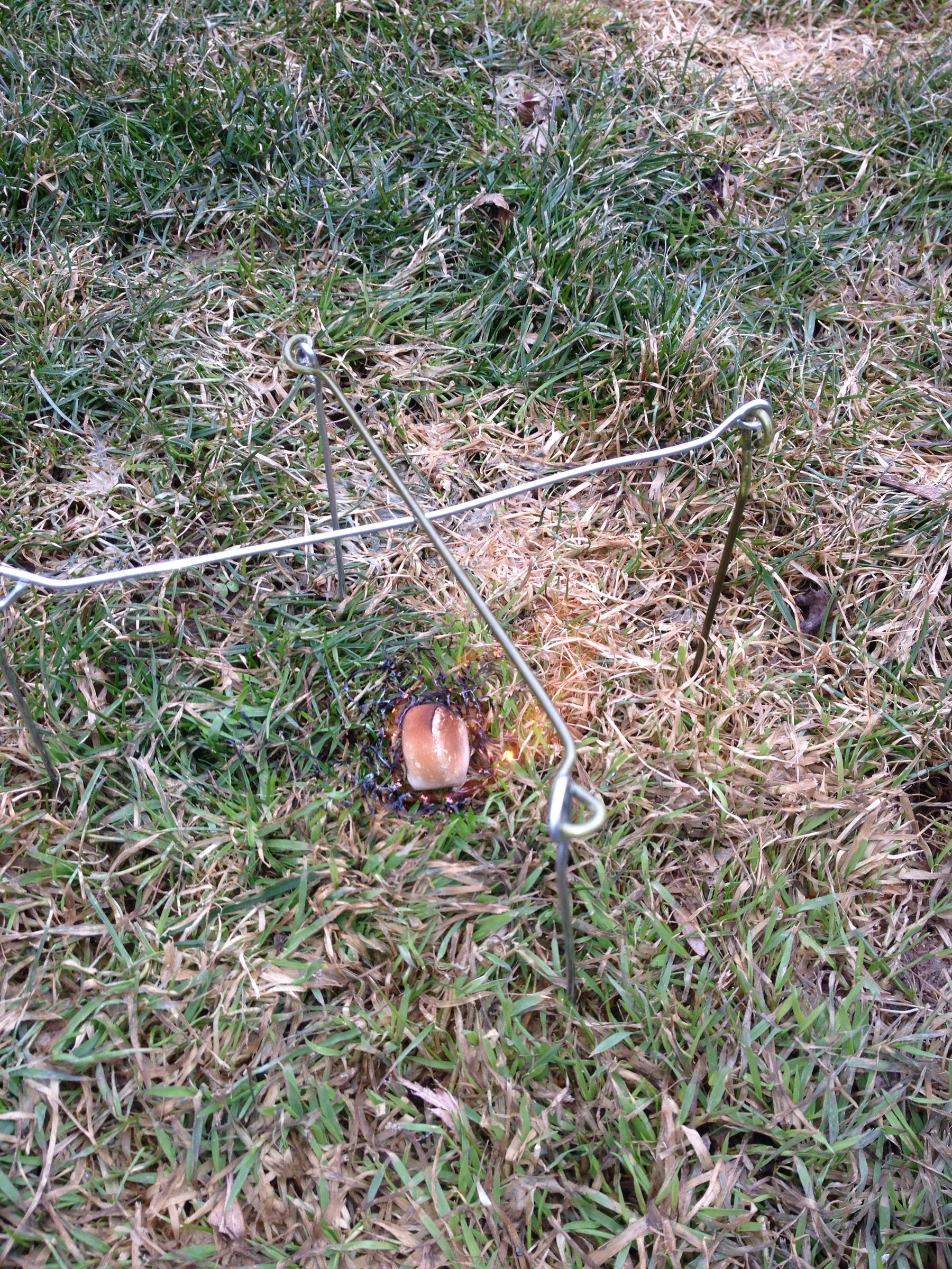 Wire Folding Stove