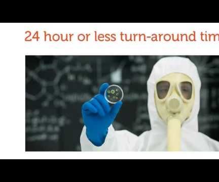 Mold Remediation, Inspection and Testing Services