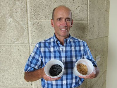 A Guide to Sprouting: Your Easy Access to Healthy Food at Home