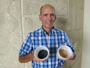 A Guide to Sprouting: Your Easy Access to Healthy Food at Home