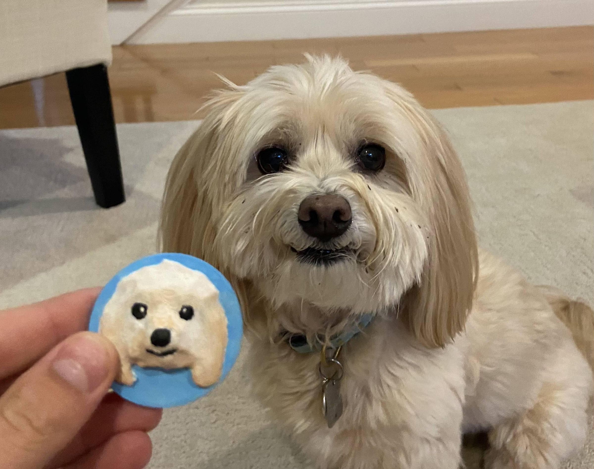 Use a Free AI Tool to Make a Magnet of Your Pet