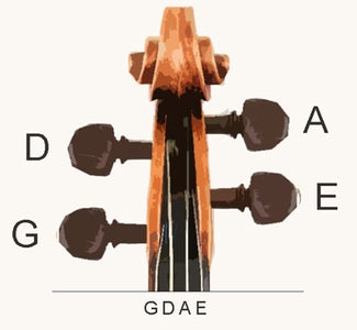 Different Parts of the Violin and Bow