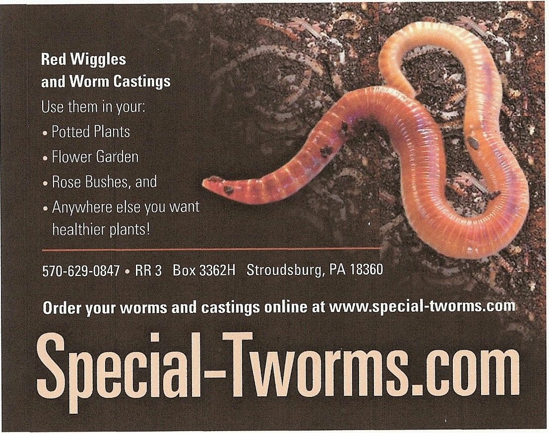 Special-tworms.com  Red Worms/ Composting Worms/ Fishing Worms