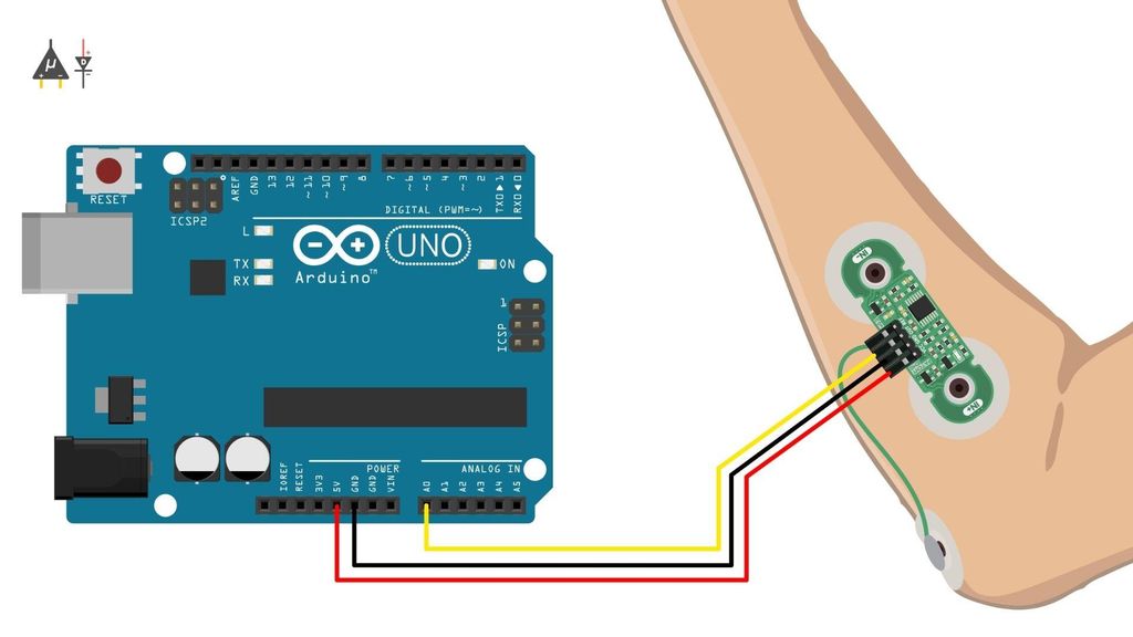 Recording and Visualizing Muscle Signals (EMG) Using Muscle BioAmp ...