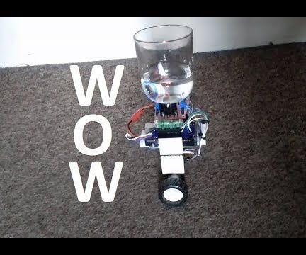 2 Wheeled Self Balancing Robot