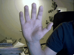 How to Make Animated Gif Avatar From Webcam