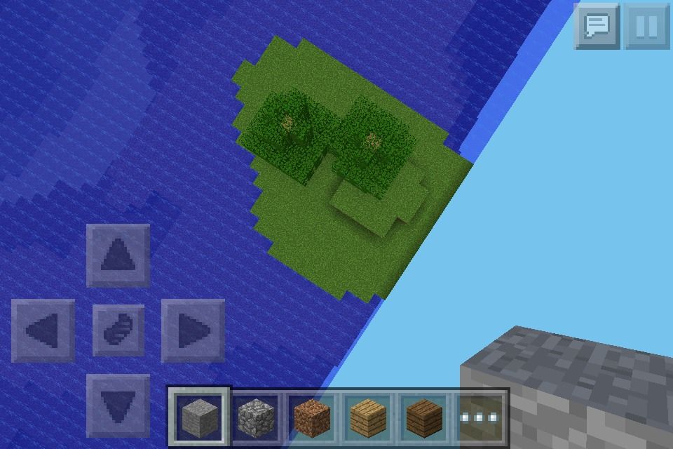 Seed