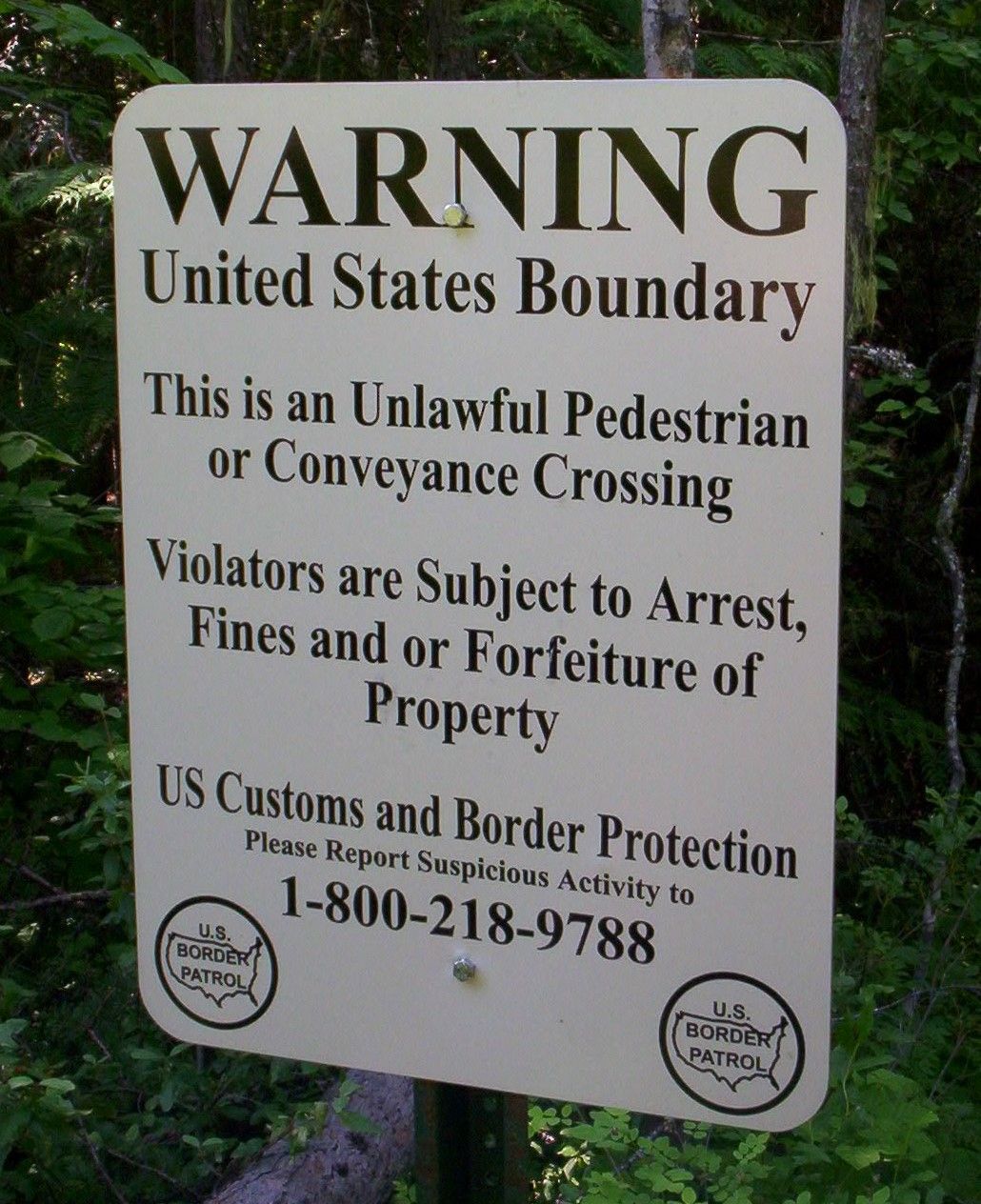 How to Escape From America