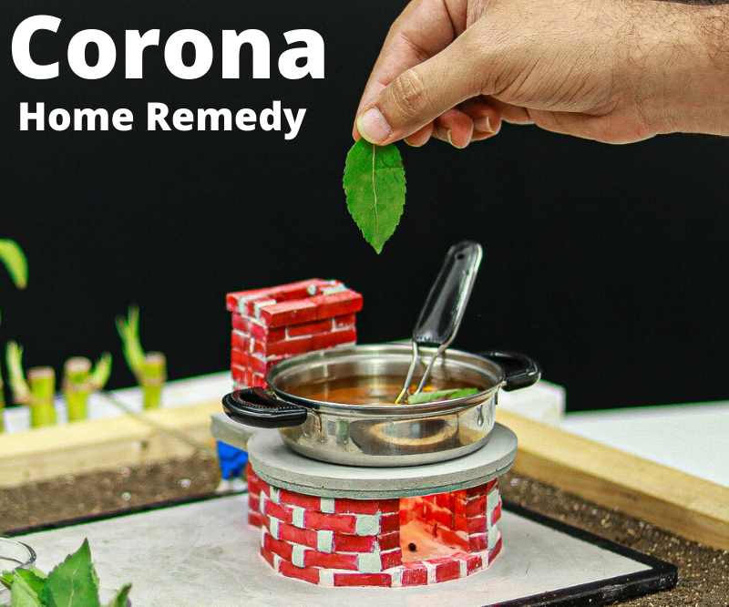 Miniature Food Recipe for Increase Immunity 