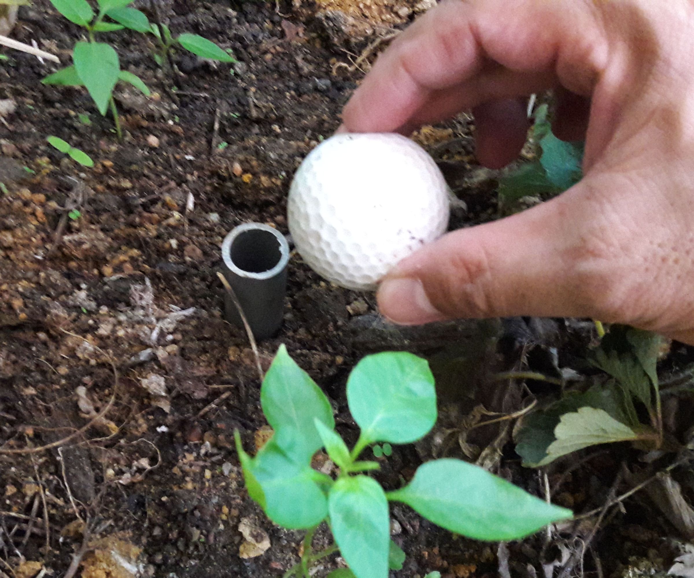 Compact Wicking Irrigation : a Pauper Solution