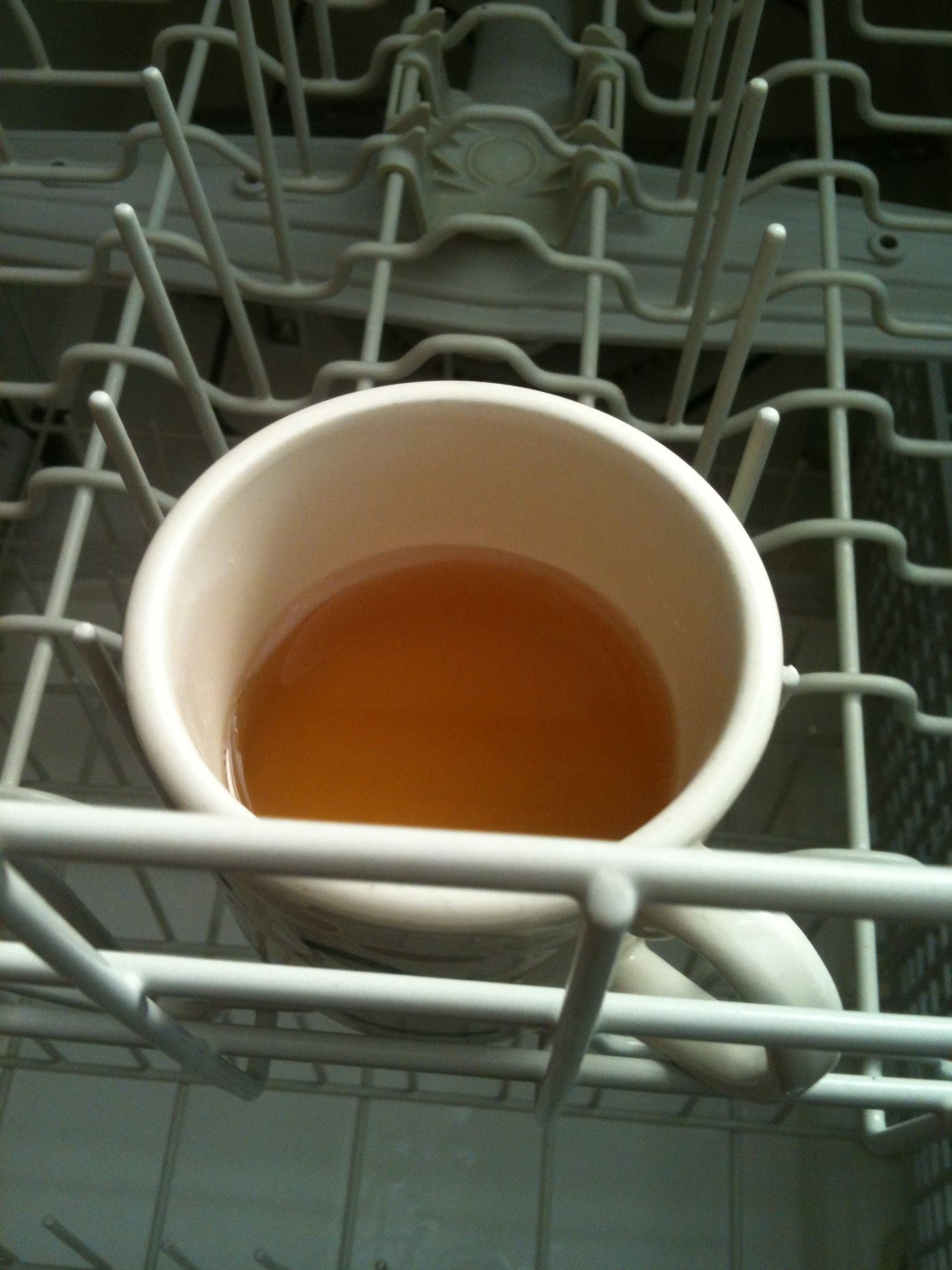 Spotless Dishes Without Expensive Chemical Products