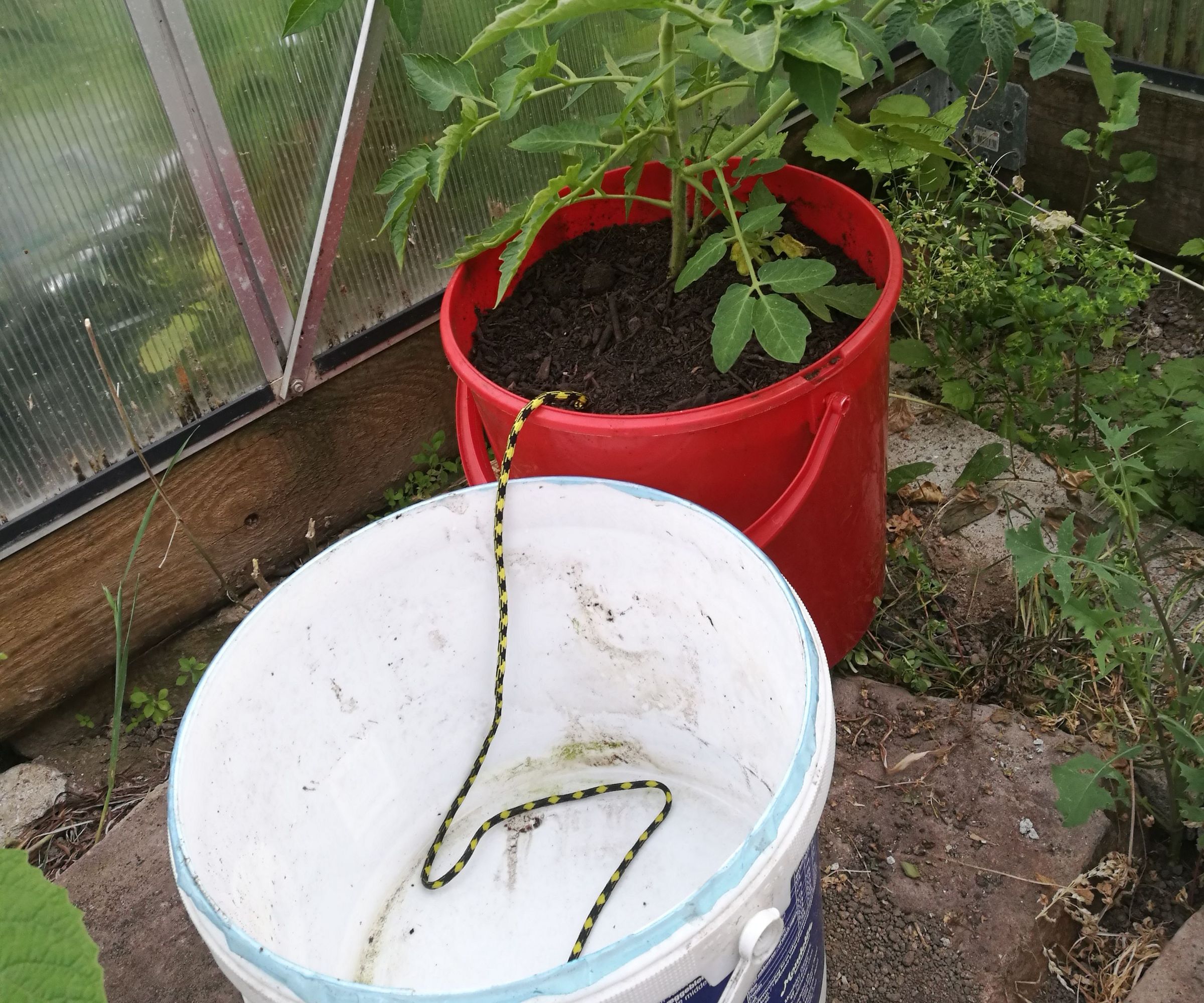 Simple Wicking System