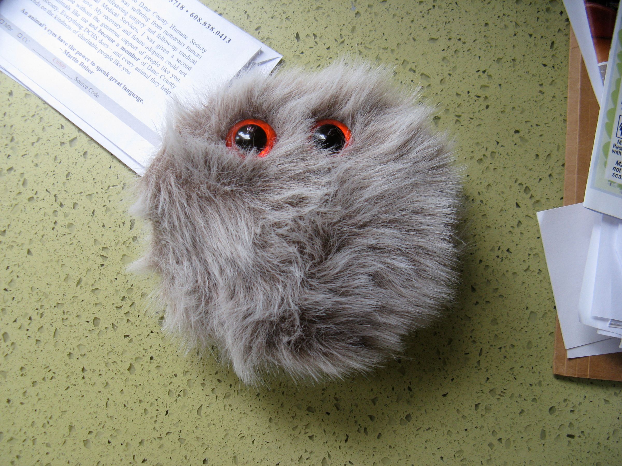 The Fuzzmeister: A Small, Furry Friend