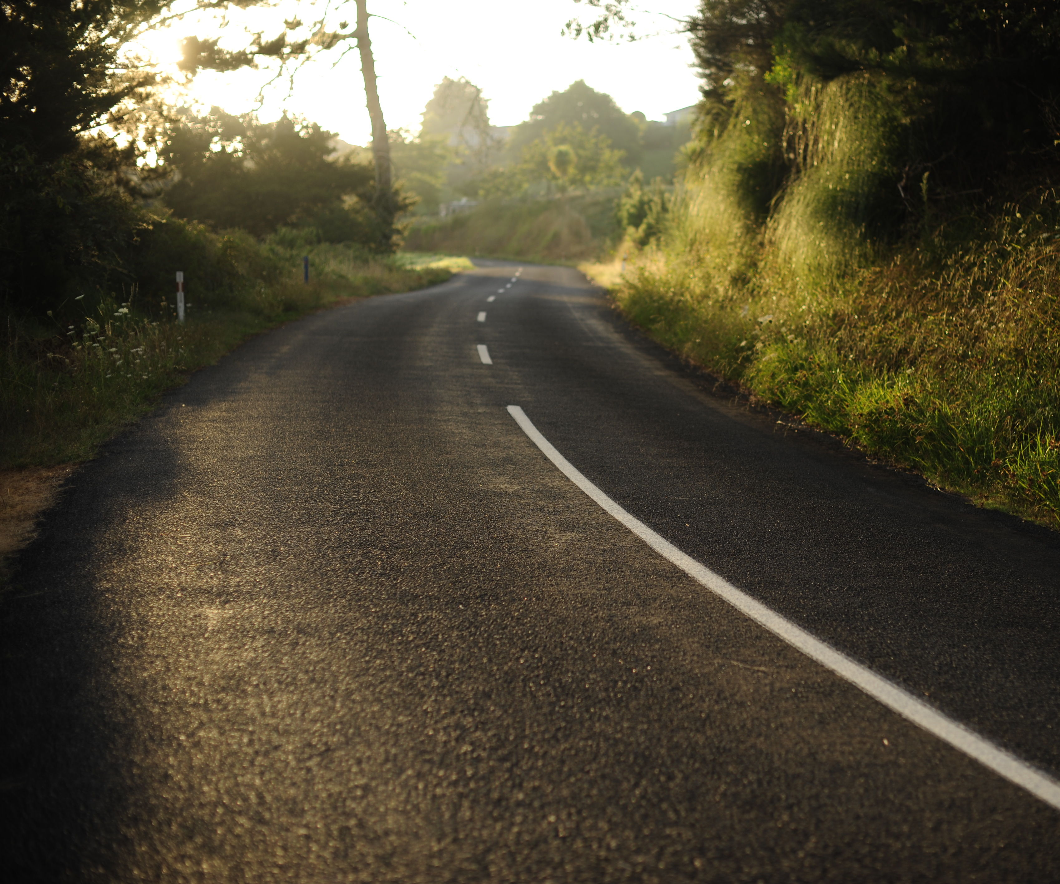 How to Survive the Family Road Trip