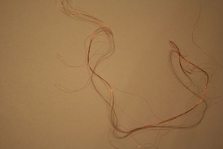 Make the Fabric Switch