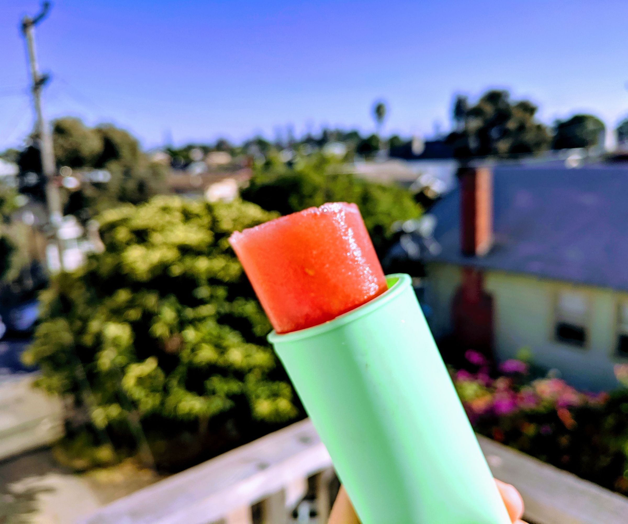 Sour Watermelon Ice Pops