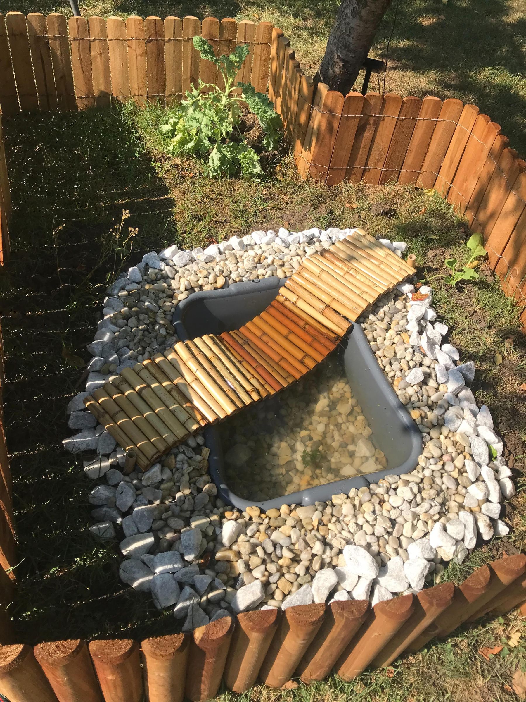 Backyard Summer Turtle Pond Project! 7 Steps (with Pictures