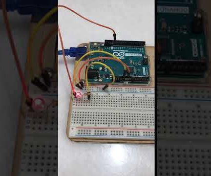 Use LED blinking to play with animals!