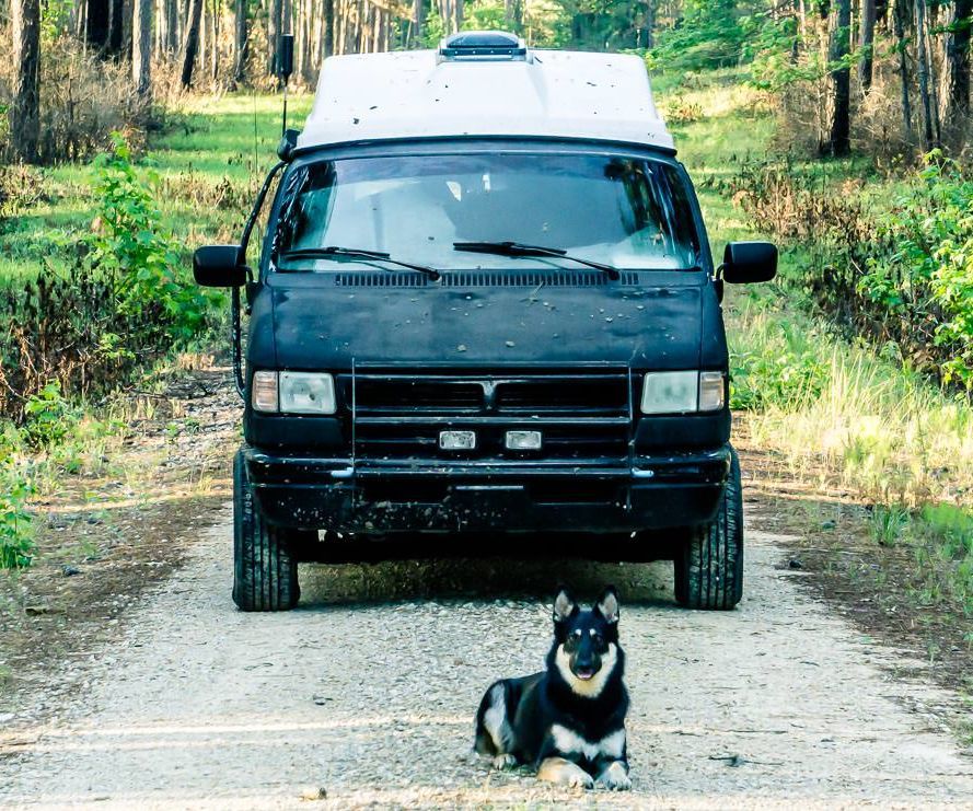 How to VanLife With a Dog