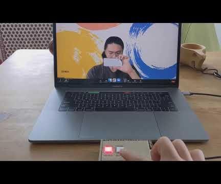 Bidirectional Physical Zoom Mute Button